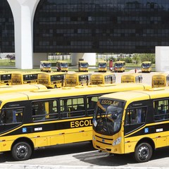 miniatura da galeria