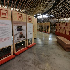 miniatura da galeria