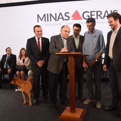 miniatura da galeria