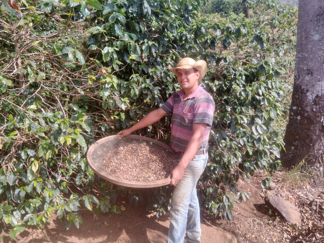 Rodrigo Dias de Pádua quer aprender logo as novas técnicas no cultivo do café . (Foto: Arquivo pessoal)