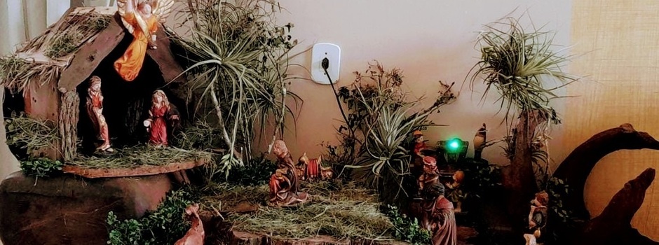 imagem de destaque