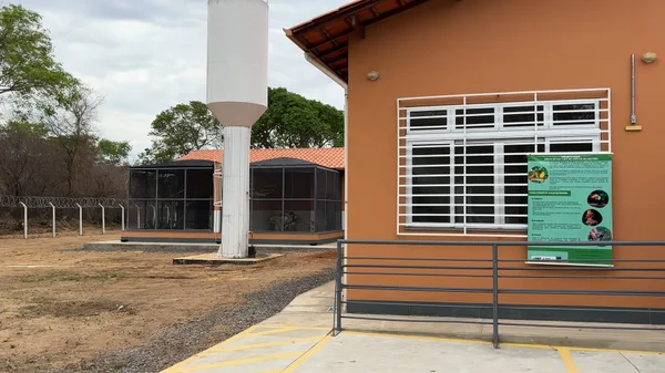 Januária, no Norte de Minas, recebe novo Centro de Triagem e Reabilitação de Animais Silvestres