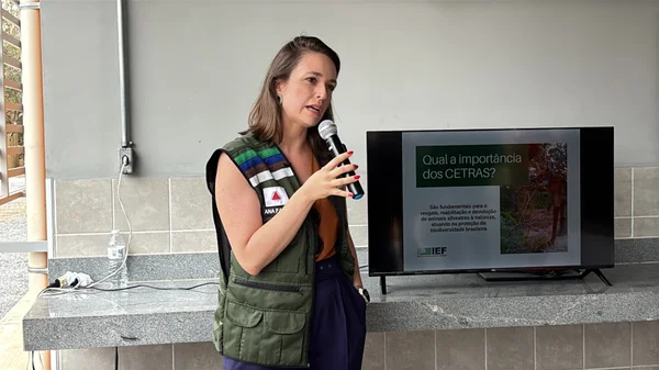 Ana Luisa Falcão, diretora-geral do IEF
