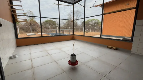 Januária, no Norte de Minas, recebe novo Centro de Triagem e Reabilitação de Animais Silvestres