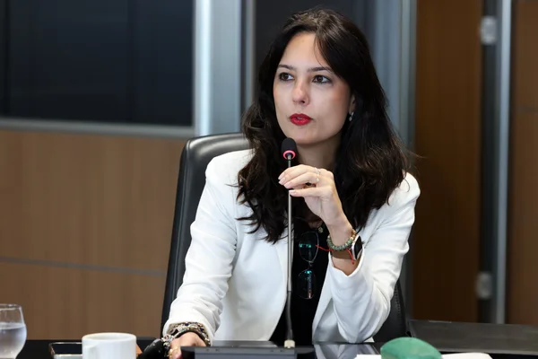 Em reunião com equipe de transição, Governo de Minas apresenta resultados e políticas de desenvolvimento econômico