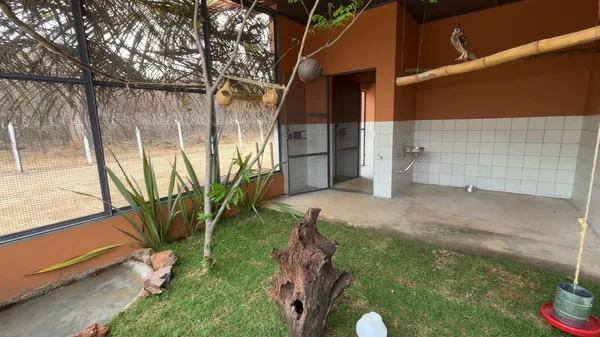 Januária, no Norte de Minas, recebe novo Centro de Triagem e Reabilitação de Animais Silvestres