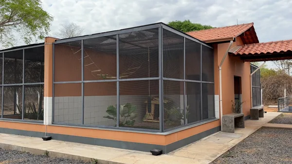 Januária, no Norte de Minas, recebe novo Centro de Triagem e Reabilitação de Animais Silvestres