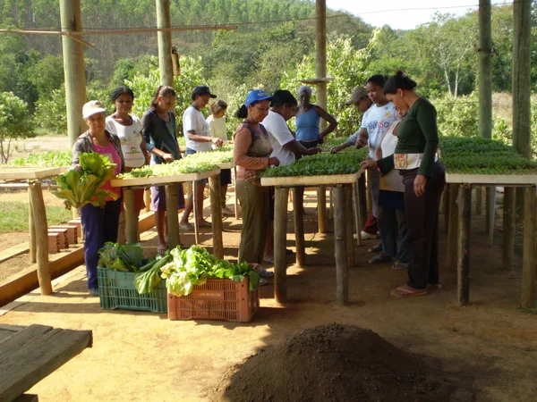 Ao todo, cerca de 130 pessoas se beneficiam da horta