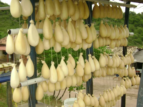 Queijo cabacinha