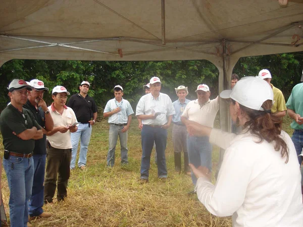 Pesquisadora da Fundação Triângulo, Ana Luíza Zanetti, durante dia de campo sobre a soja
