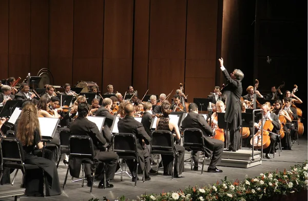 Orquestra Filarmônica de Minas volta ao Palácio das Artes em mais um concerto da série "Allegro"