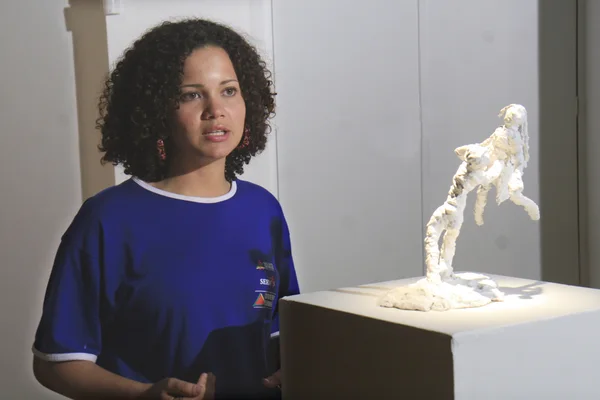 Palácio das Artes exibe mostra 'Corpo Humano', dos Valores de Minas até dia 21