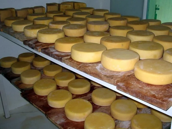 Queijo Minas produzido na microrregião de Guanhães