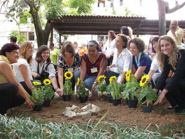 Equipe do hospital planta girassóis - flor símbolo do Dia Mundial de Cuidados Paliativos
