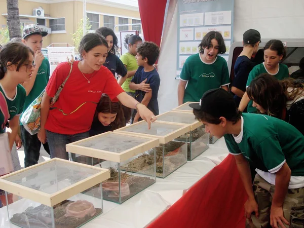 As exposição de escorpiões, aranhas e serpentes causaram admiração nos alunos
