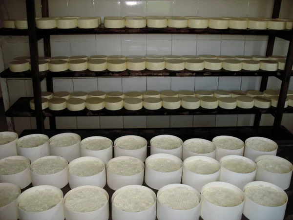 Queijo do Serro fresco em prateleiras
