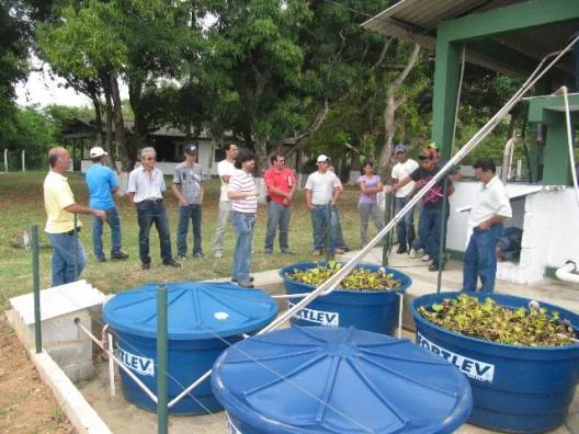 Jovens do Programa Transformar fazem visita técnica na fazenda da Epamig