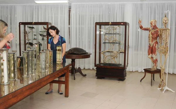 O museu conta com um acervo de seis mil peças disponíveis aos visitantes