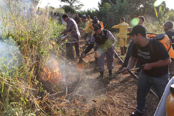 Simulado compõe o Plano de Ação 2012 para Prevenção a Incêndios, do Governo de Minas