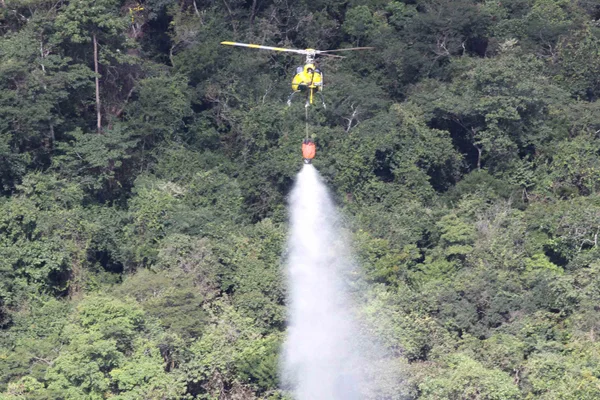 Simulado compõe o Plano de Ação 2012 para Prevenção a Incêndios, do Governo de Minas