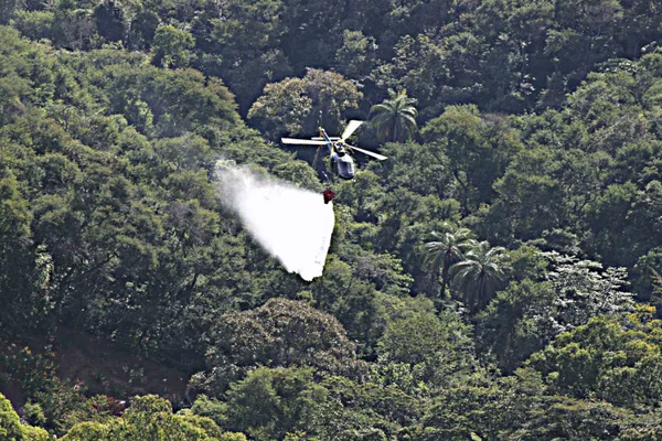Simulado compõe o Plano de Ação 2012 para Prevenção a Incêndios, do Governo de Minas