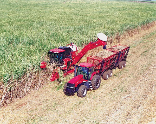 Safra de grãos chega a 12,1 milhões de toneladas, 14% a mais que em 2011