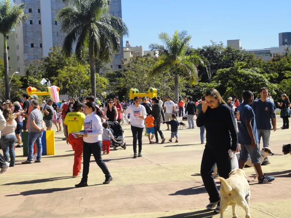 Objetivo foi mobilizar criadores e guardiões de animais, instituições e empresas pets