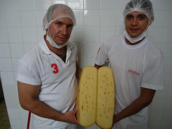 Laticínios Cruzília produz queijos gorgonzola, brie, emmental, parmesão, rocambole, gouda e gruyère