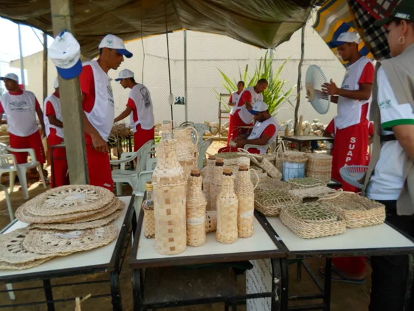 Todos os materiais foram produzidos durante o curso de artesanato em fibras de bananeiras e taboa