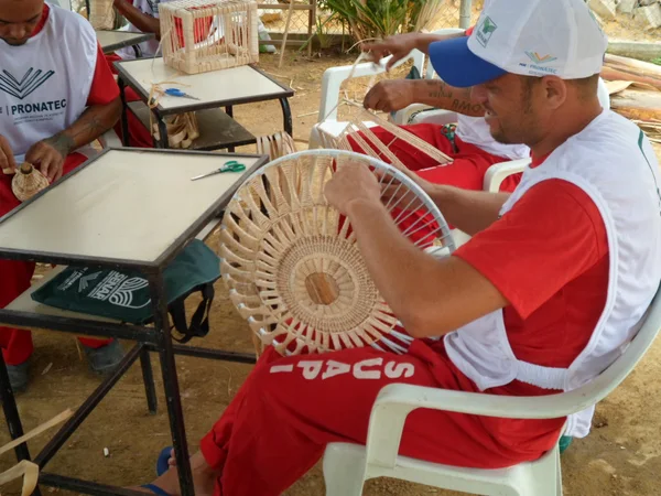 Todos os materiais foram produzidos durante o curso de artesanato em fibras de bananeiras e taboa