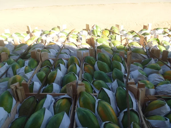 Em Belo Horizonte, 120 escolas estaduais compram legumes, frutas e doces da Coperjaíba