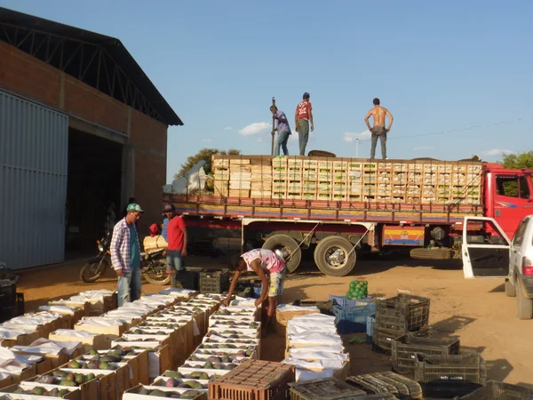 Em Belo Horizonte, 120 escolas estaduais compram legumes, frutas e doces da Coperjaíba