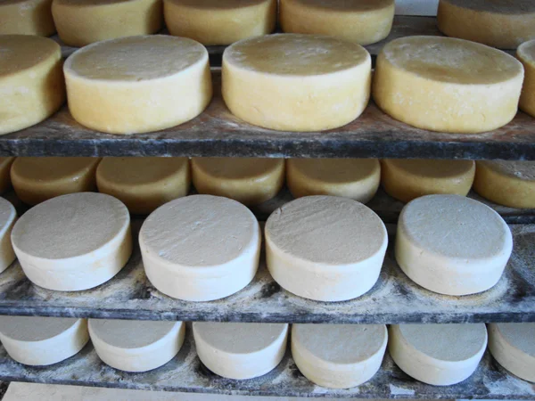Epamig também vai apresentar uma degustação comentada sobre o queijo artesanal