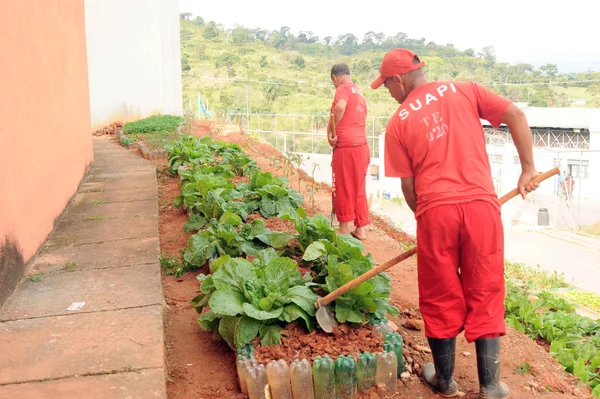 Ainda como projeto-piloto, a usina produziu 1.080 quilos de adubo orgânico em 5 meses