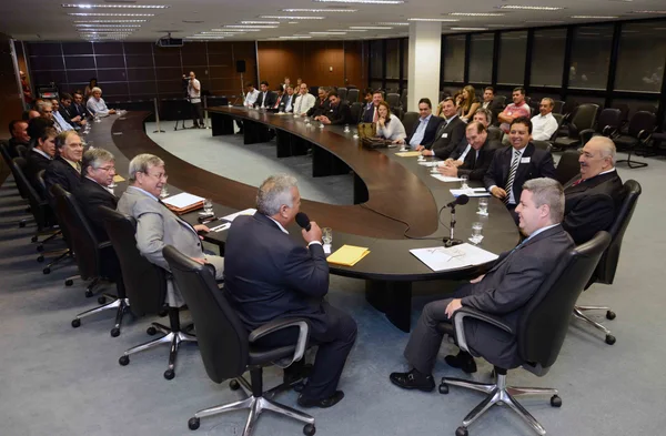 Deputado Romel Anízio (PP) e prefeitos