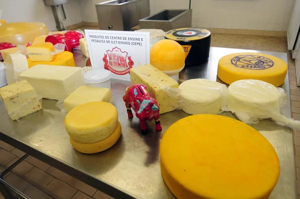 Instituto Cândido Tostes é referência nacional na área de pesquisa da cadeia produtiva do leite