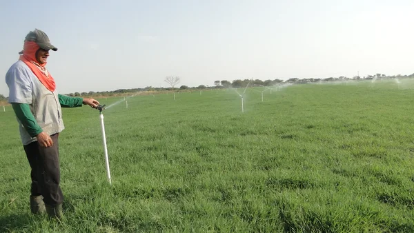 Expansão do Jaíba terá participação maior da agricultura familiar