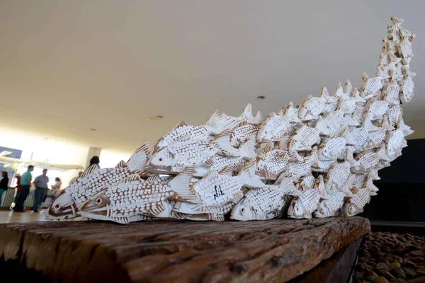 Estado amplia atividades para incentivar consumo de pescado