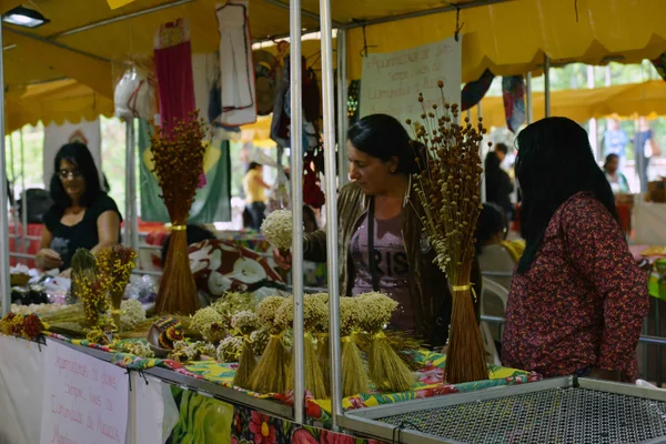 Abertura da I Feira Mineira das Mulheres do Campo 