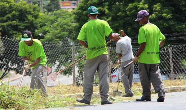 Detentos da José Maria Alkimin trabalham no enfrentamento à dengue nas ruas de Santa Luzia