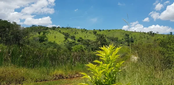 Seis trilhas temáticas apresentam os recursos naturais existentes no Parque Estadual Serra Verde