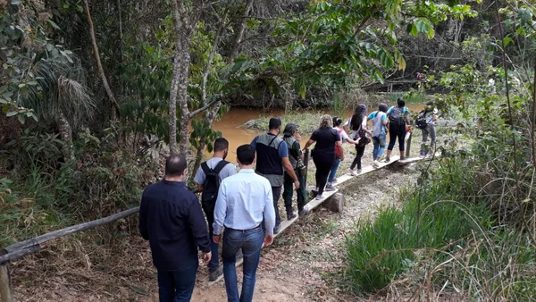 Atividades na capital e no interior celebram Semana Florestal