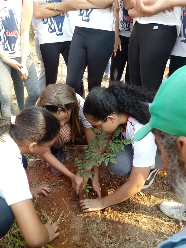 Atividades na capital e no interior celebram Semana Florestal