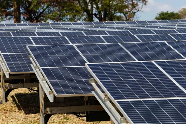 Romeu Zema participa de inauguração de usina solar fotovoltaica em Uberlândia, no Triângulo Mineiro