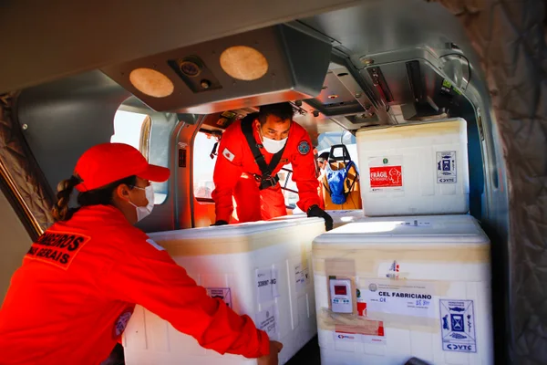 Governo de Minas distribui mais 356,3 mil doses de vacinas contra covid-19