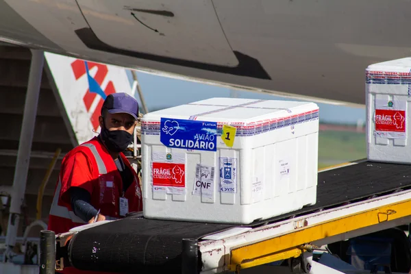 Minas recebe mais 509,8 mil doses de vacinas contra a covid-19