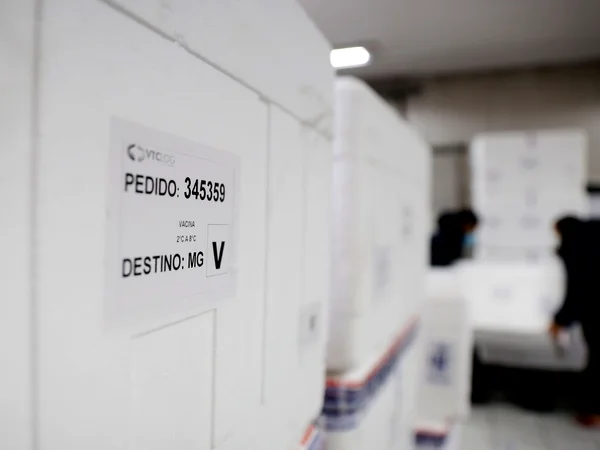 Minas recebe 542.550 novas doses de vacinas contra covid-19