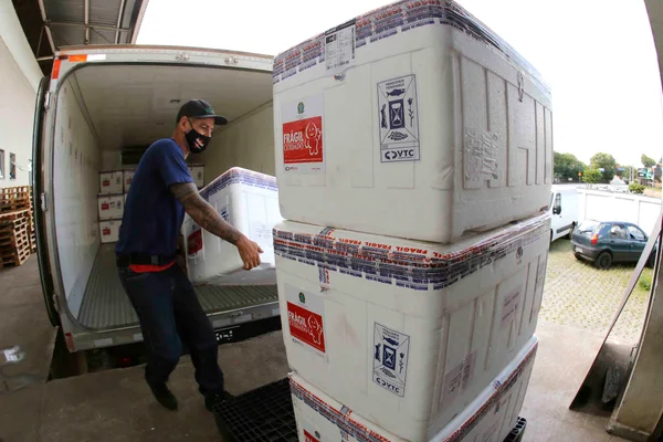 Minas recebe 542.550 novas doses de vacinas contra covid-19