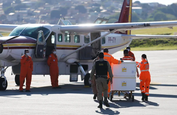Governo distribui 9º lote de vacinas contra covid no estado