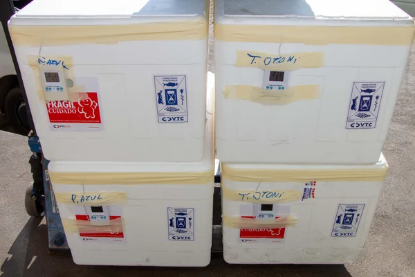 Estado distribui 19ª remessa de vacinas contra covid-19